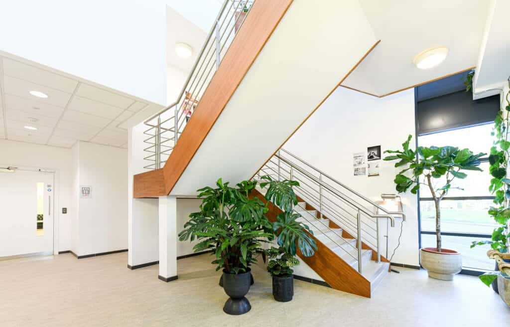 staircase in office building with pot plants