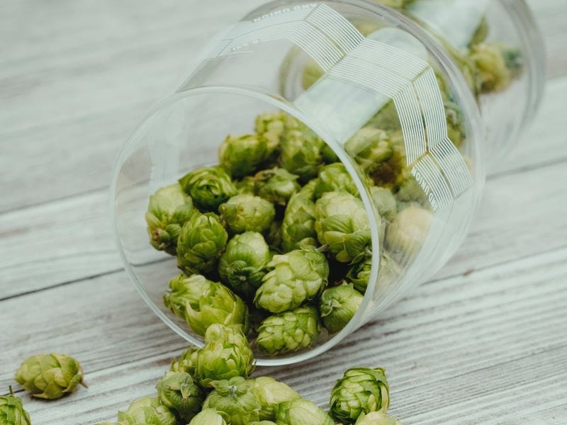 hops in a glass
