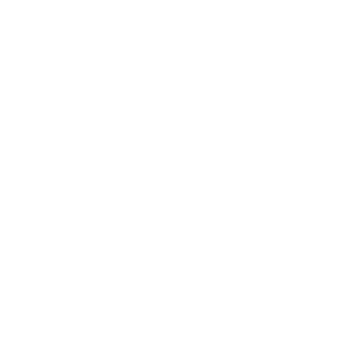 double arrow logo